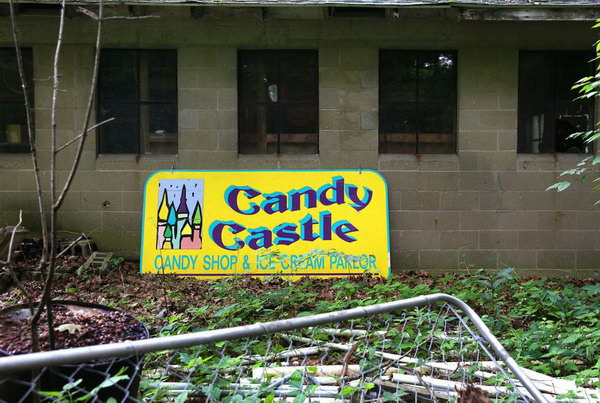 Deer Forest - 2015 Photos From Mlive (newer photo)